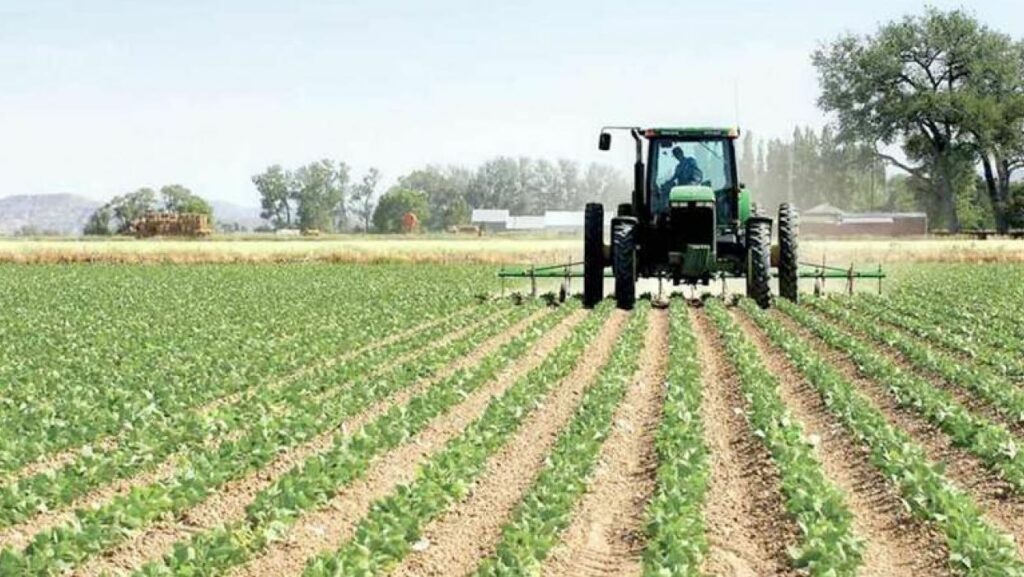 odisha agriculture
