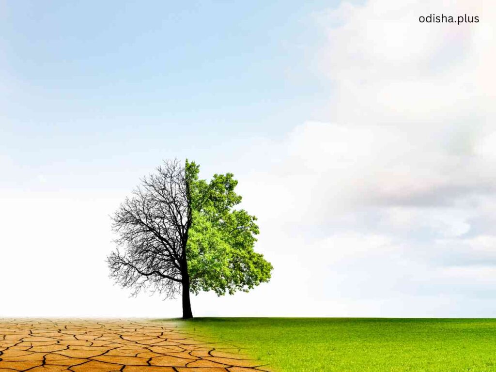 Drought Hotspots in Odisha are Changing