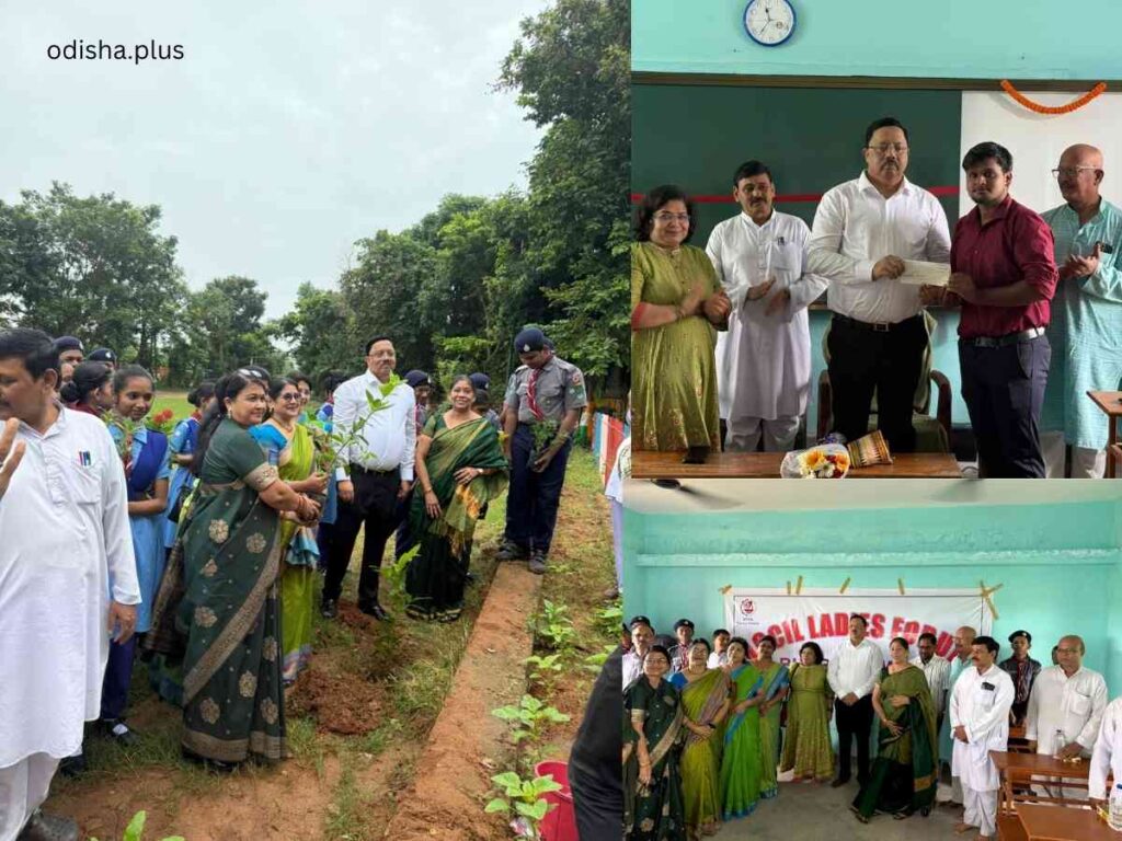 UCCIL Ladies Forum, plantation drive, smart board donation, Saraswati Sishu Vidya Mandir, education support, digital learning, school donation, environmental sustainability, Bhubaneswar CSR activity, women forum initiatives