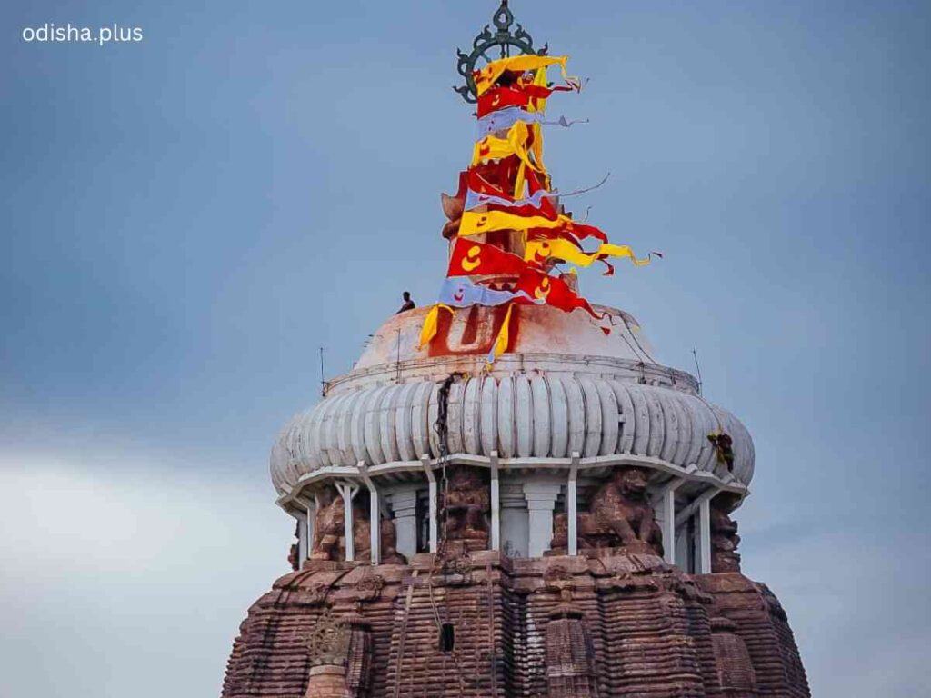 puri
mahaprasad
prasad baanned
puri prasad banned
jagannath temple
temple
puri temple

