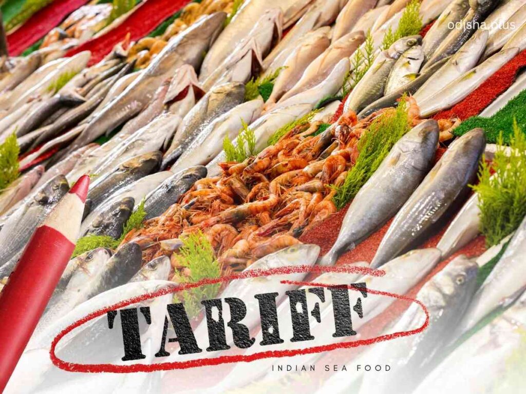 US tariff hike, Odisha fishermen, seafood exports India, shrimp export Odisha, Falcon Marine Exports, Trump tariff India, Indian seafood trade, Odisha economy, SEA FOOD ,FISH