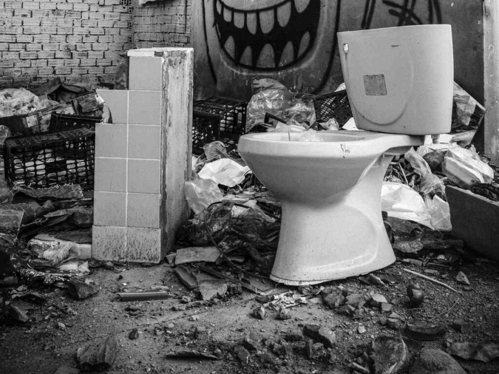 RTI Act 20 years, Right to Information India, Barry Schwartz Paradox of Choice, mask dance traditions, World Toilet Day 2025, sanitation India, liberal democracy choice, mask culture India, Swachh Bharat sanitation, Mrinal Chatterji Window Seat