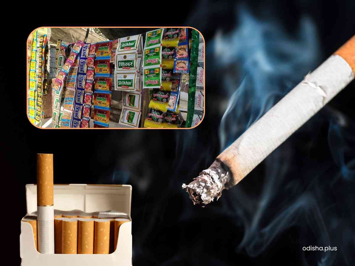 australia tobacco tax revenue plunge One of the country's largest independent retailers warns soaring cigarette prices are driving smokers to the black market, with up to half of all cigarettes now bought illegally. Ritchies IGA says continued australia tobacco tax revenue plunge One of the country's largest independent retailers warns soaring cigarette prices are driving smokers to the black market, with up to half of all cigarettes now bought illegally. Ritchies IGA says continued