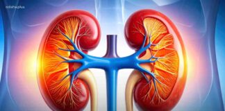 World-Kidney-Day-2026-Kidney-Health-for-People-Planet