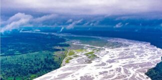 Represents the "Green Success" and overall ecological health.