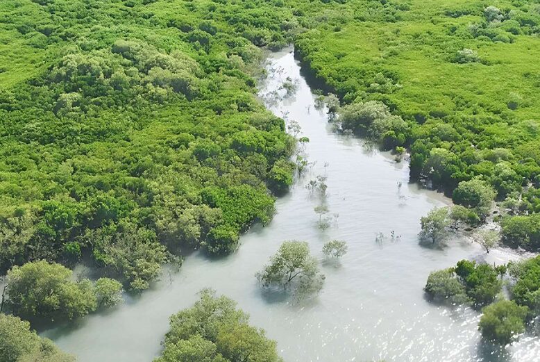 CAMPA India, Compensatory Afforestation Fund, ecological restoration, wildlife conservation, Odisha forest relocation, Debrigarh Wildlife Sanctuary, mangrove restoration, MISHTI scheme, forest governance, socio-economic impact.