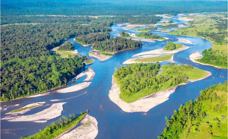 CAMPA India, Compensatory Afforestation Fund, ecological restoration, wildlife conservation, Odisha forest relocation, Debrigarh Wildlife Sanctuary, mangrove restoration, MISHTI scheme, forest governance, socio-economic impact.