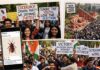 When the ‘Cockroaches’ Roared: How India’s Gen Z Forced the Establishment to Blink