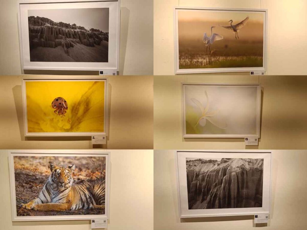 World Photography Day exhibition review, IMAGE AND IMAGINATION photography, wildlife photography tiger glance, macro and landscape photography, Ramadevi Women's University review, photography art styles Odisha
