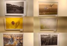 art-of-seeing-differently-world-photography-day-exhibition