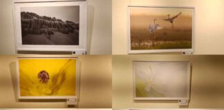 art-of-seeing-differently-world-photography-day-exhibition