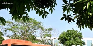 crut-proposes-transport-corridor-bcpper