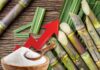 Ethanol Demand: Sugar Prices Touch Rs 70/kg in Odisha