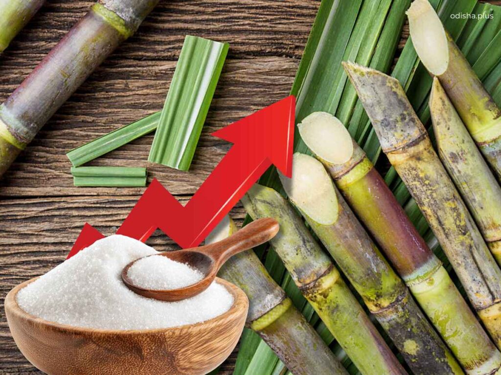Sugar prices in Odisha, ethanol demand, Odisha sugar prices, sugarcane prices, ethanol production, sugar industry Odisha, sugarcane farmers, ethanol programme India, sugar market, food prices, sugar supply