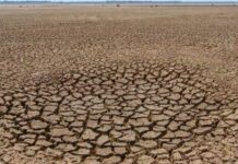 na-anka-durbhikshya-1866-odisha-famine-history-drought-featured