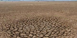 na-anka-durbhikshya-1866-odisha-famine-history-drought-featured
