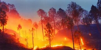 World Tourism Day: Journey to Almora in the Season of Fire